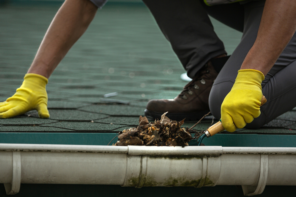 Professional Gutter Cleaning